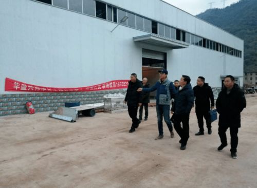 項城市副縣長馬伊深入調研竹筍加工廠建設，推動鄉村產業振興