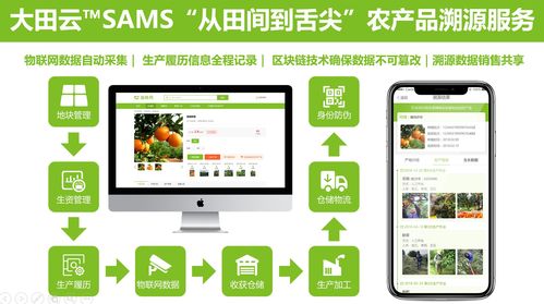 大田智慧農(nóng)業(yè)投資1.28億元數(shù)字化服務(wù)，構(gòu)筑農(nóng)產(chǎn)品安全生產(chǎn)新生態(tài)